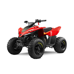 CFORCE 110 EFI - 0