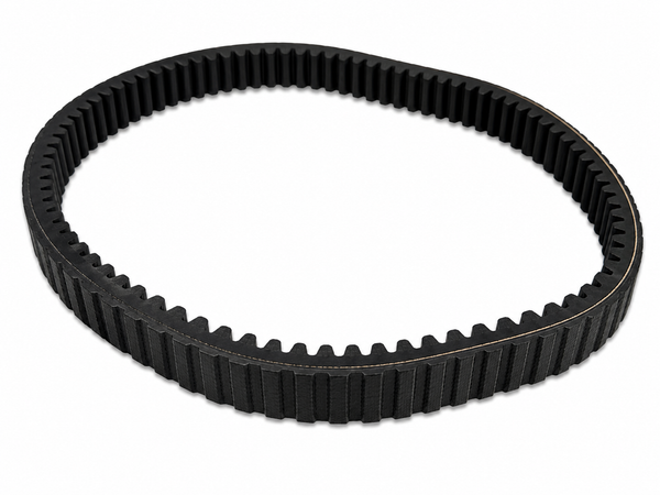 TOOTHED DRIVE BELT
