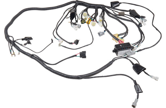 WIRING HARNESS(FOR EUROPE) Linhai M 550