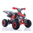 Viarelli Agrezza 110cc V2-1