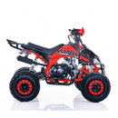 Viarelli Agrezza 110cc V2-2