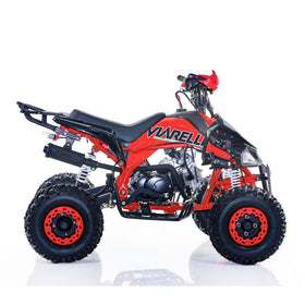 Viarelli Agrezza 110cc V2 - 0