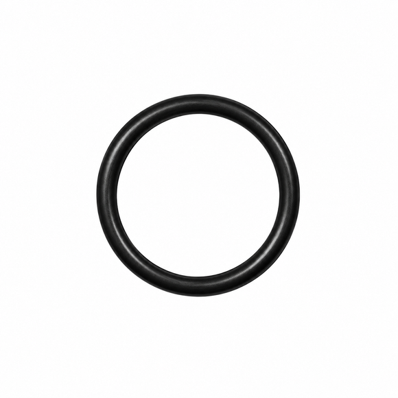 O-Ring 24x2.5 24x2.5