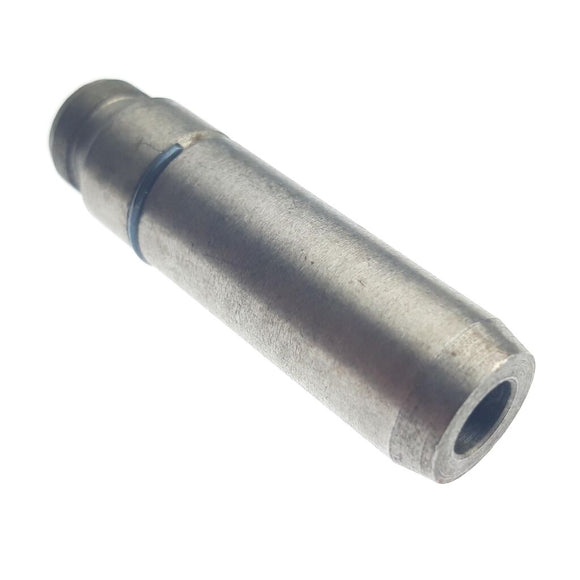 GUIDE INTAKE VALVE