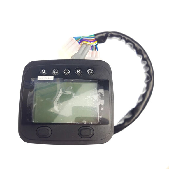 LCD SPEEDOMETER，EFI,SMALLER. OPTIONS（EUROPE）