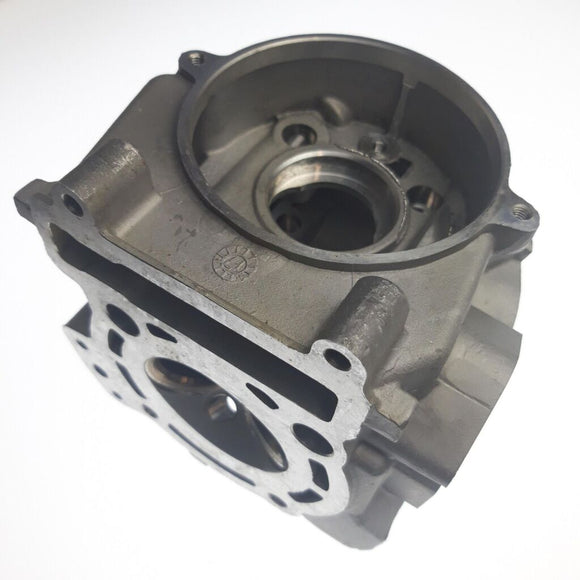 CYLINDER HEAD ASSY (FOR 260cc)