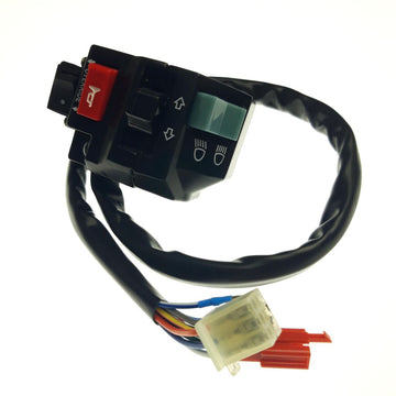 SWITCH ASSY (USED FOR EUROPE)
