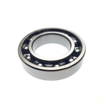 BEARING 6007