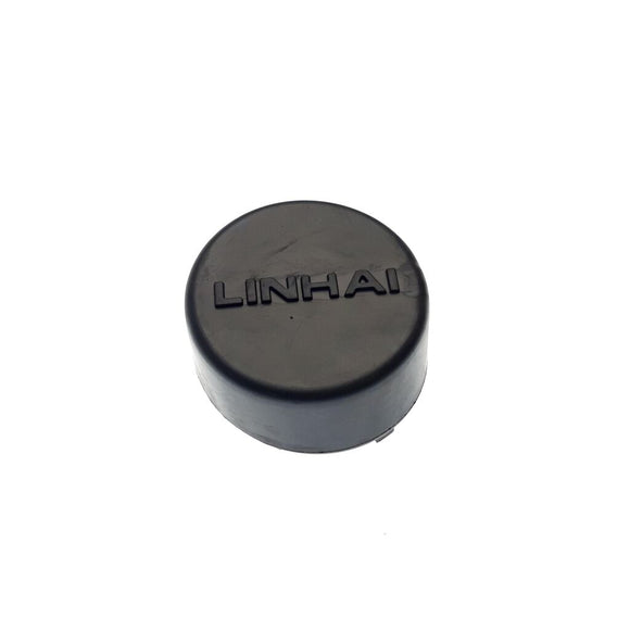 CAP SWINGARM PIVOT