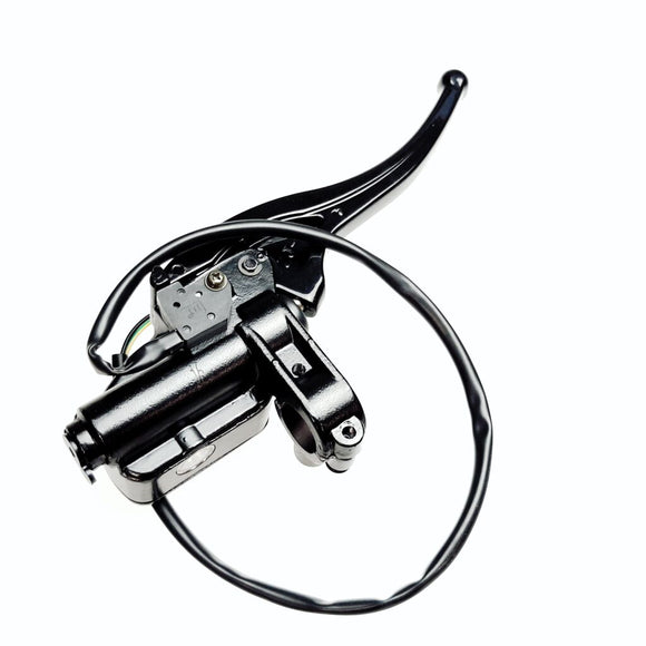 MASTER CYLINDER WITH BRAKE LEVER（PASSIVATION）