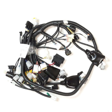 WIRING HARNESS(FOR EFI EUROPE)