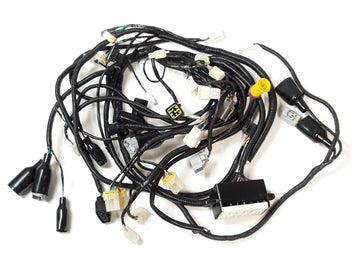 WIRING HARNESS(FOR EFI EUROPE)