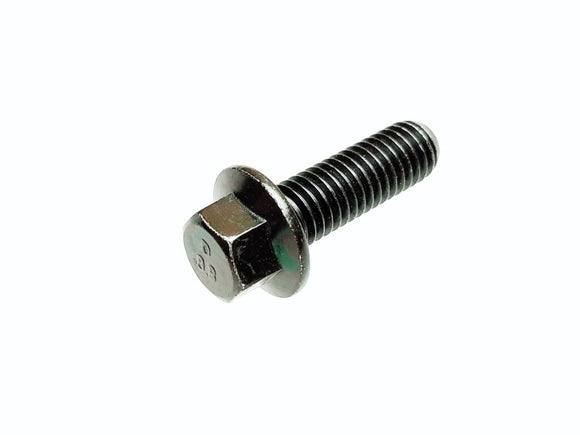 Hexagon Flange Bolt M8X25