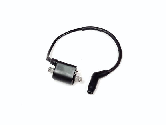 IGNITION COIL AND WIRE
