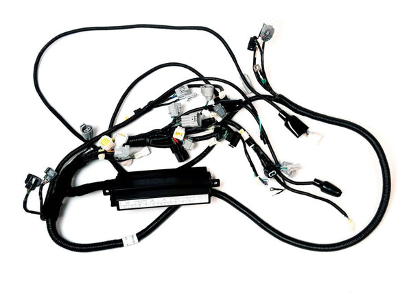 WIRING HARNESS