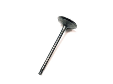 VALVE, INTAKE