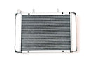 RADIATOR ASSY (THICKER)