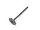 INTAKE VALVE
