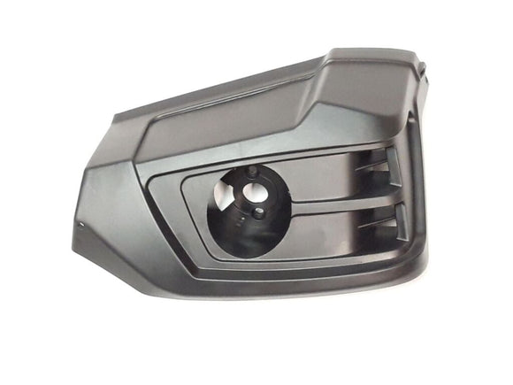 TAILLIGHT COVER/R