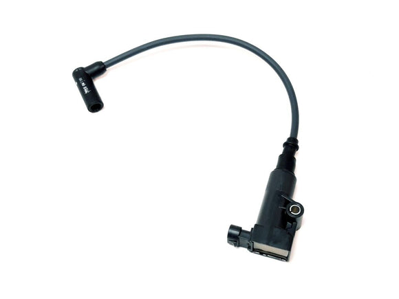 IGNITON COIL AND WIRE