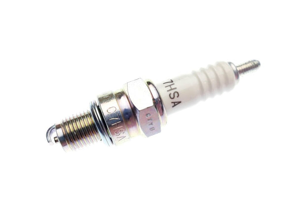Spark Plug