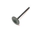INTAKE VALVE
