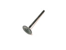 EXHAUST VALVE