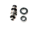 CAMSHAFT ASSY1