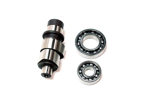 CAMSHAFT ASSY1