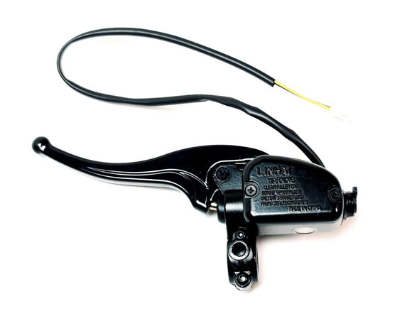 MASTER CYLINDER WITH BRAKE LEVER (SEE THE DETAIL ON P21A(1))