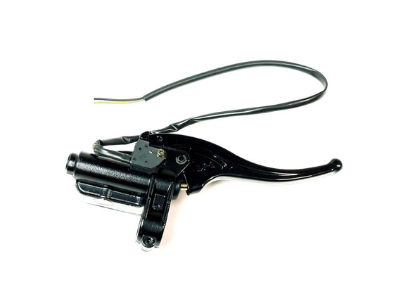 MASTER CYLINDER WITH BRAKE LEVER (SEE THE DETAIL ON P21A(1))
