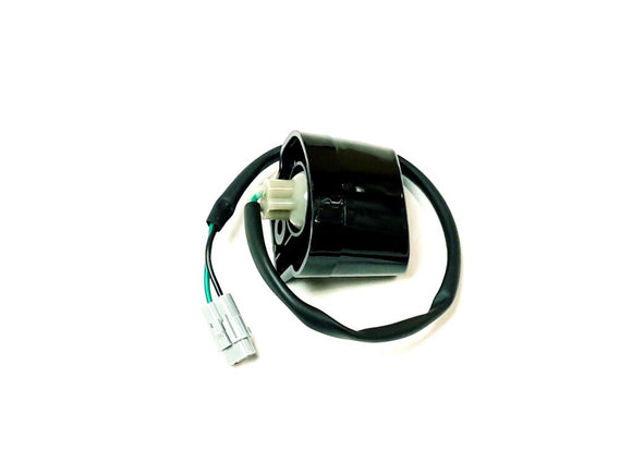 LICENSE LIGHT