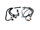 EFI WIRE(ECU:MT05.d)