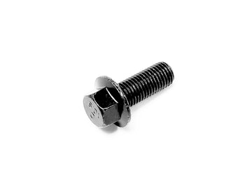 BOLT M10X1.25X25