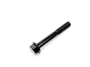 BOLT M8X55