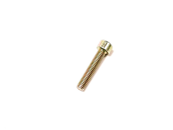BOLT SOCKET HEAD M6X30