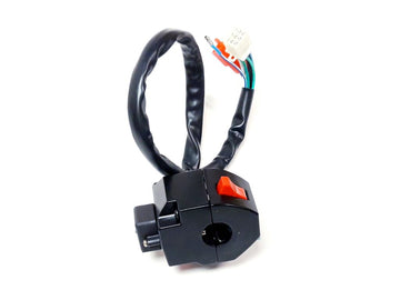 SWITCH ASSY（ONLY FOR EUROPE，Dipped headlight on）
