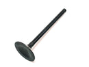 INTAKE VALVE