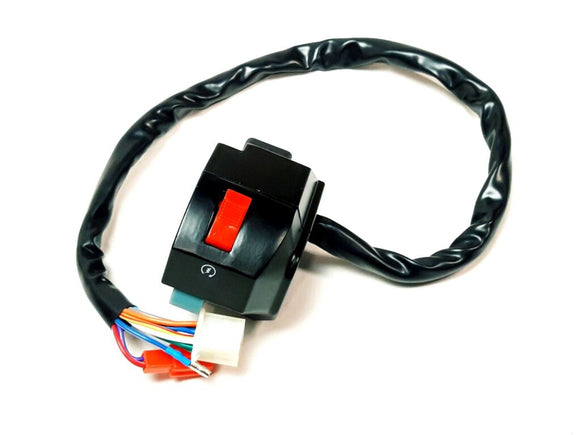 SWITCH ASSY (05 MODEL 50TH MODEL)