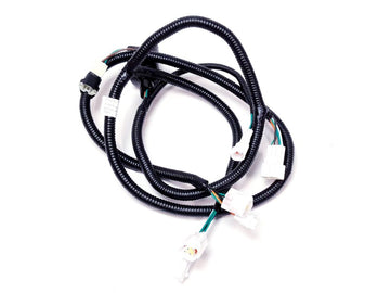 TAILLIGHT TRANSITION LINE