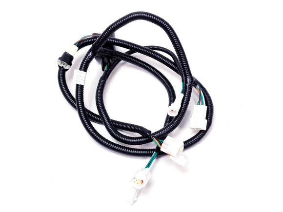 TAILLIGHT TRANSITION LINE