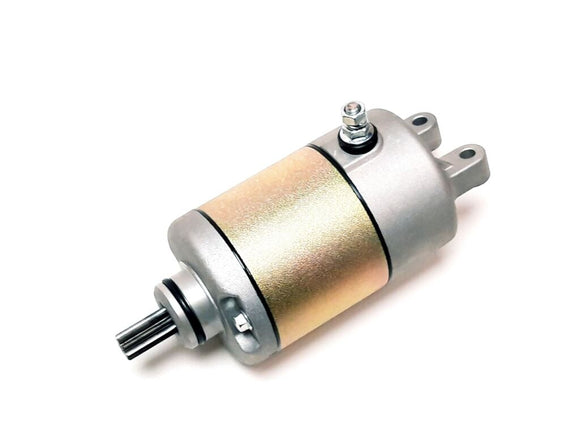 STARTING MOTOR ASSY
