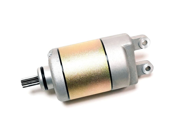 STARTING MOTOR ASSY