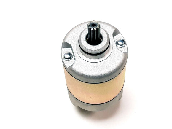 STARTING MOTOR ASSY