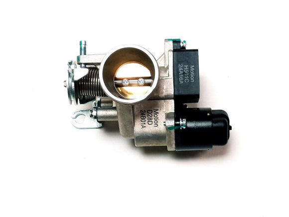 THROTTLE BODY ASSEMBLY