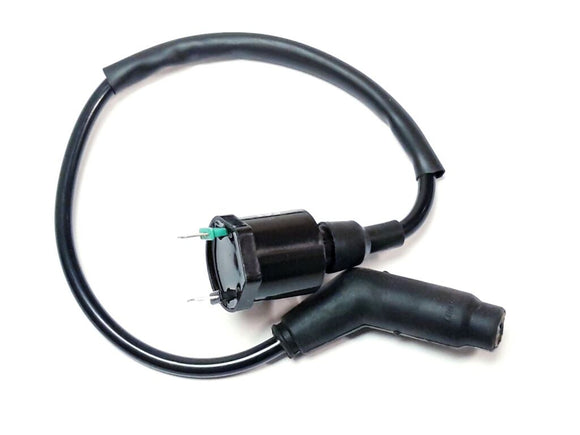IGNITON COIL AND WIRE