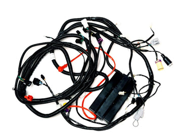 WIRING HARNESS(FOR EUROPE)