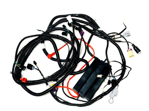 WIRING HARNESS(FOR EUROPE)