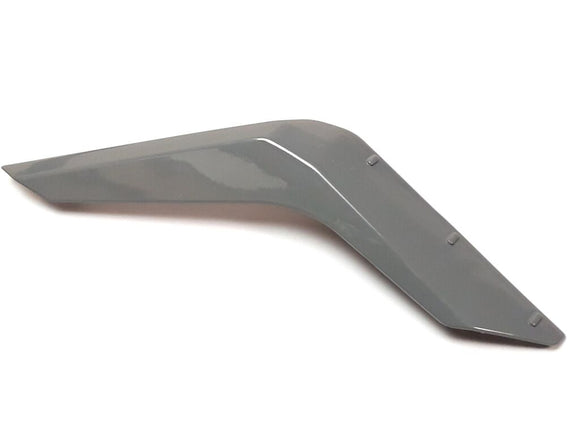FRONT COVER TRIM STRIP LH, PAINTING DARK GRAY