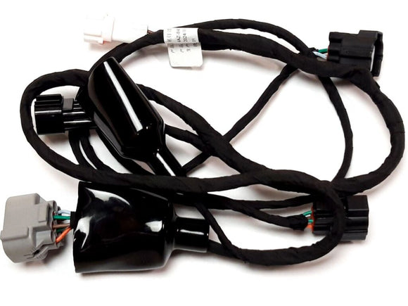 TAILLIGHT TRANSITION LINE